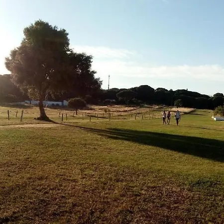 Ae Flat Falesia Apartman