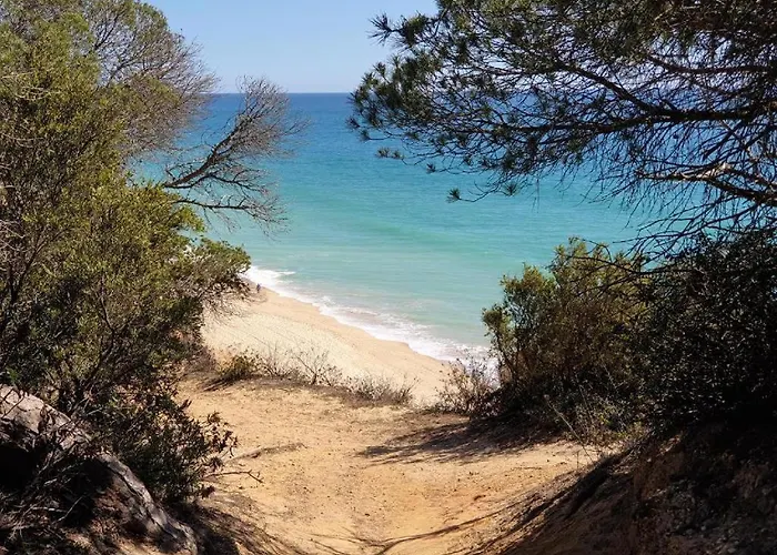 Ae Flat Falesia 아파트